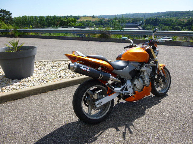 HORNET 600