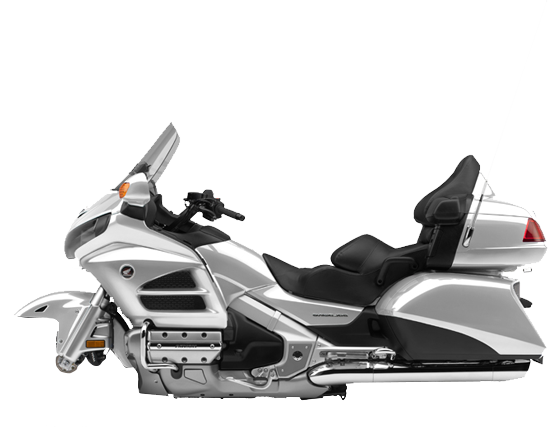 Goldwing 1